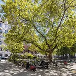 Charming Cozy Downtown Heaven For 2 Budapest